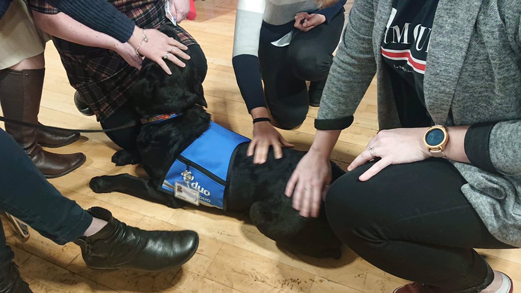 JusticeDogsLab's tweet photo. Oliver helping out with the staff inductions @CanterburyCCUni . Always everyone’s favourite part of inductions!!!! https://t.co/7RhftSP6nP