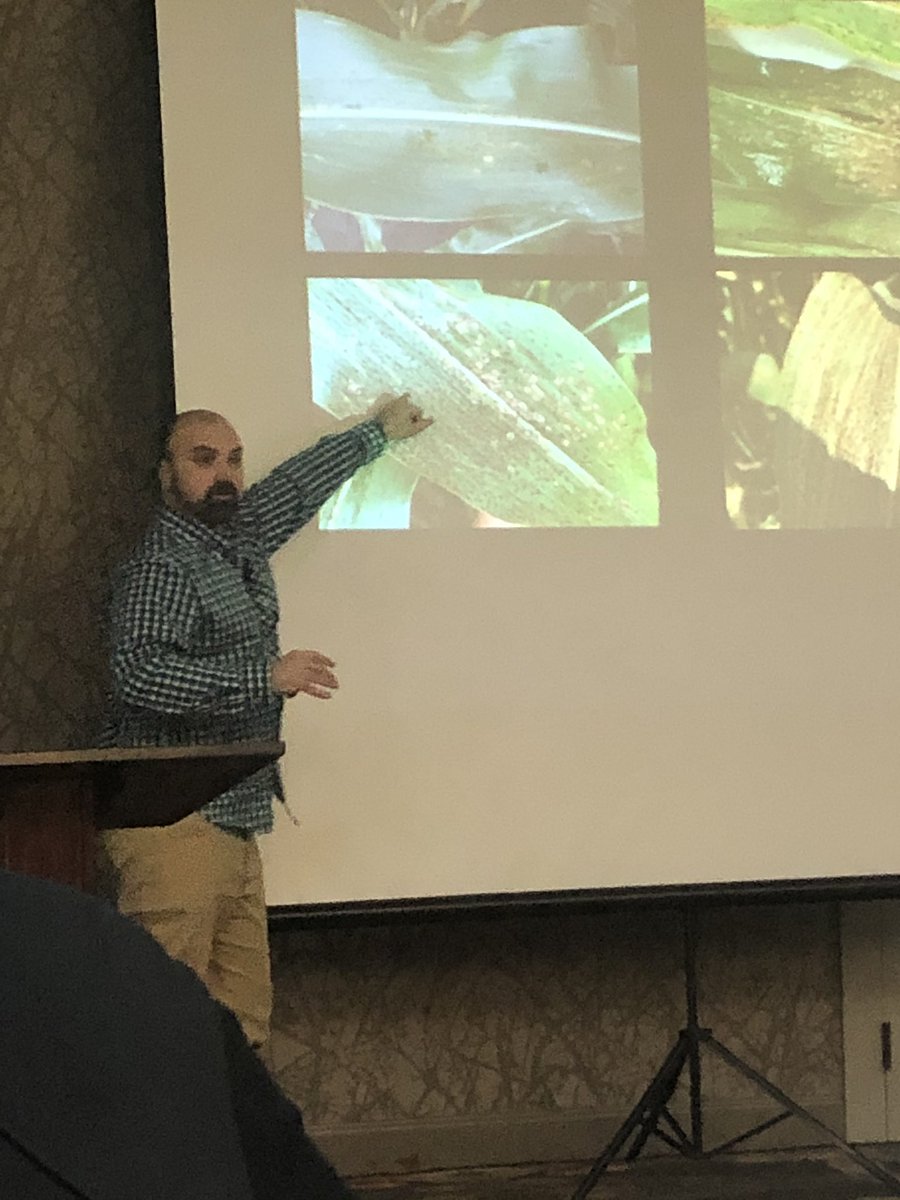 Michael Marlow tweet media