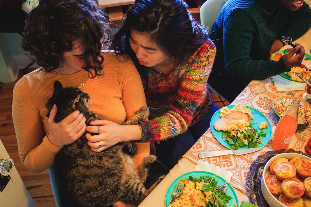 It's National Answer Your Cat's Questions Day! (trust us... we're surprised it's a real holiday too) Enjoy your cat's company with a lil Sweet Carrot on the side today 😻