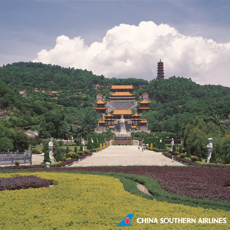 ChinaSouthernUK tweet media