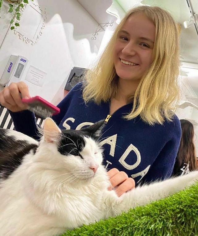 Cat cafe 🥰