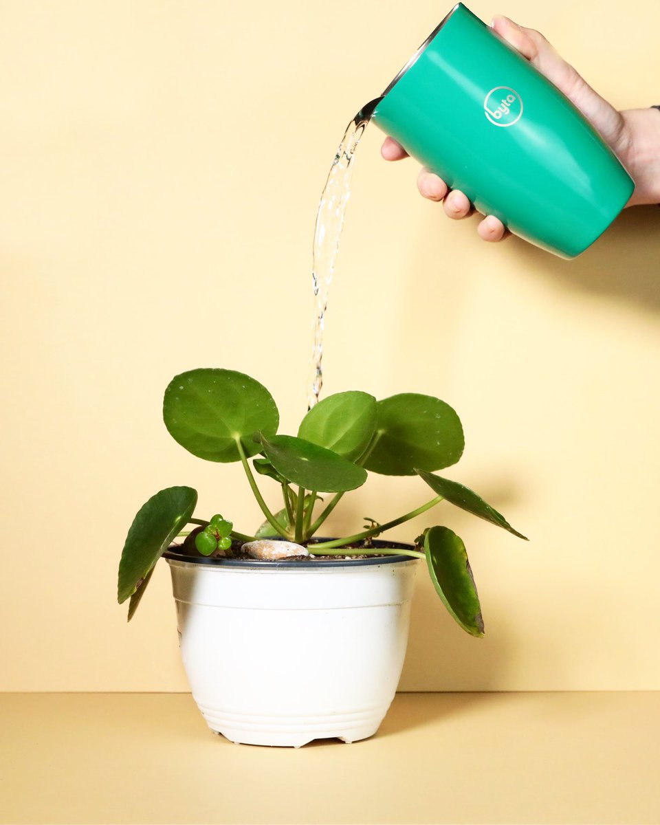 one byta, many functions #mybyta