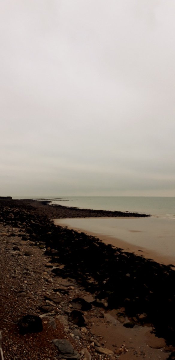 ••Elizabeth•• tweet media