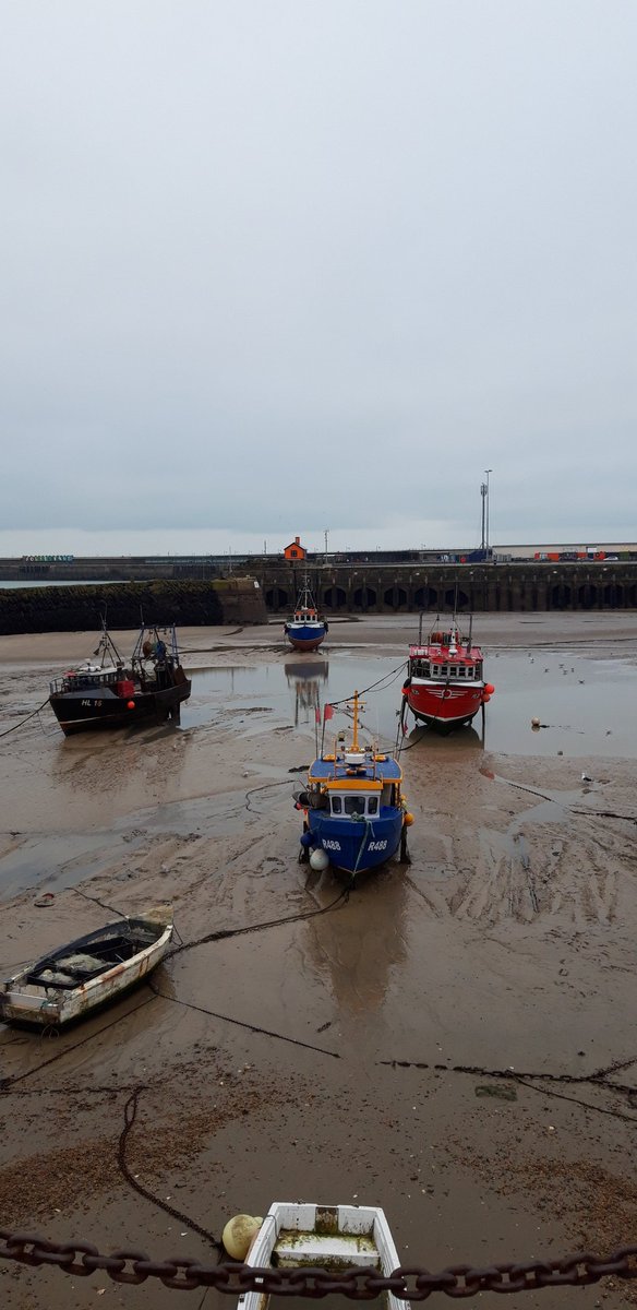 ••Elizabeth•• tweet media