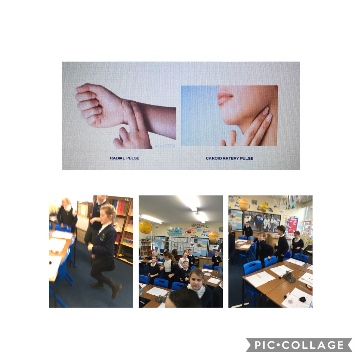 SpringCottagePS's tweet image. #SpringCottage5T and #SpringCottage5L exercised during maths to increase their heart rates, then they took their pulse and recorded the information in tables and line graphs. #springcottagemaths