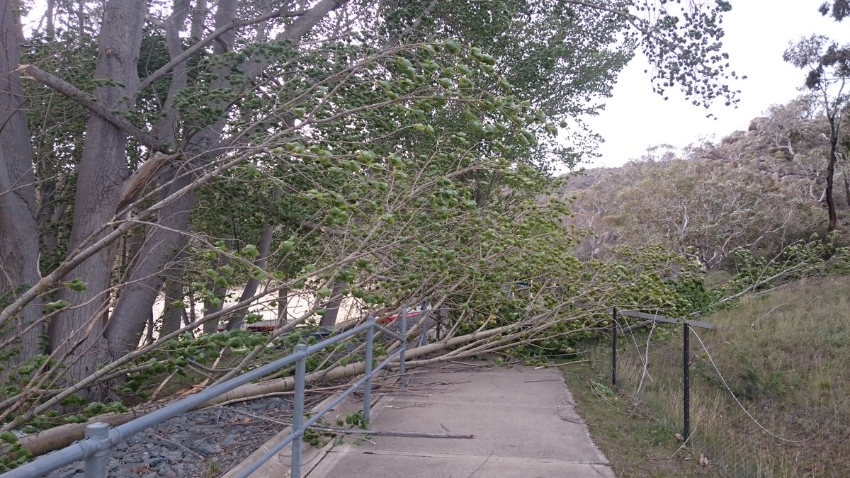 DrLWeber1's tweet photo. Crazy weather where I live. Our home weather station recorded a 103 kph wind gust, a massive poplar has come down across the path to the beach, you can see a dust storm rolling across the other side of the lake toward Berridale, and you could just about surf on Lake Jindabyne. 😗 https://t.co/LEZu2sTM2t