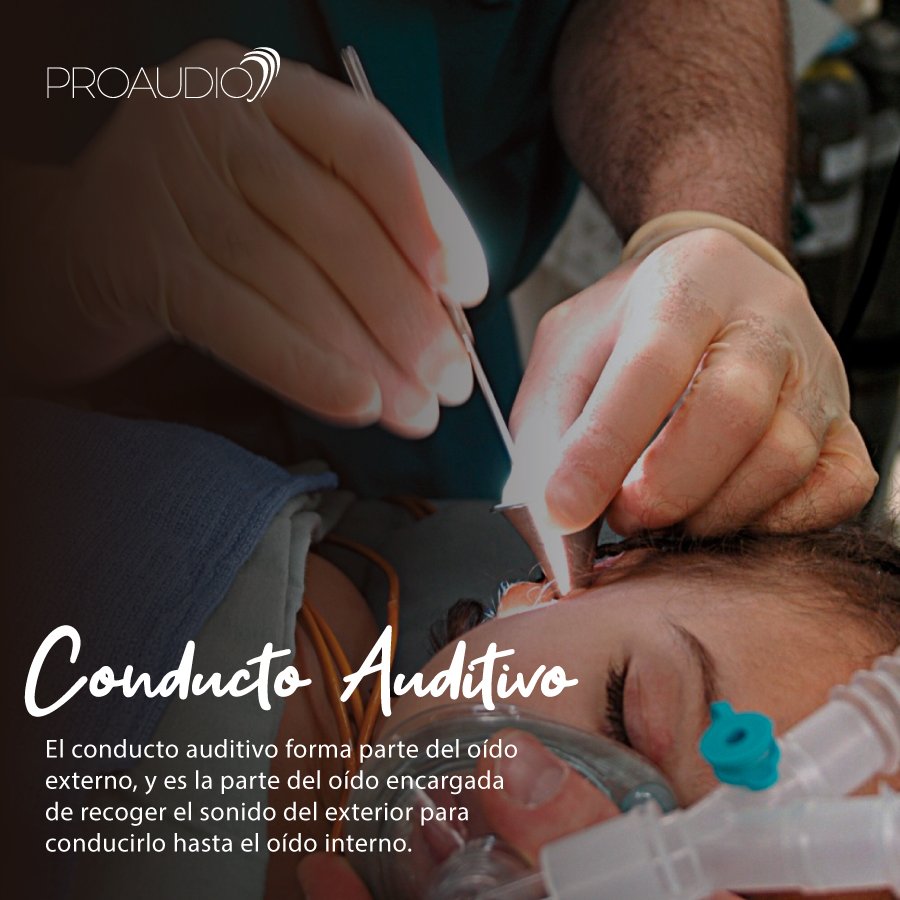 Proaudio tweet media