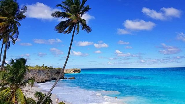 brando_cox's tweet photo. Barbados! 🇧🇧 🌴

https://t.co/XdnzPrWMmj
.
.
.
.
#barbados
#beach
#beachlife
#keepexploring
#beautifuldestinations
#travel
#letsgoeverywhere
#travelingtheworld
#photography
#travelphotography
#nothingdeclared
@nothing_declared
#Wanderlust
#moodygrams
… https://t.co/7crVzFOdnb https://t.co/9RVwCMv1Y4