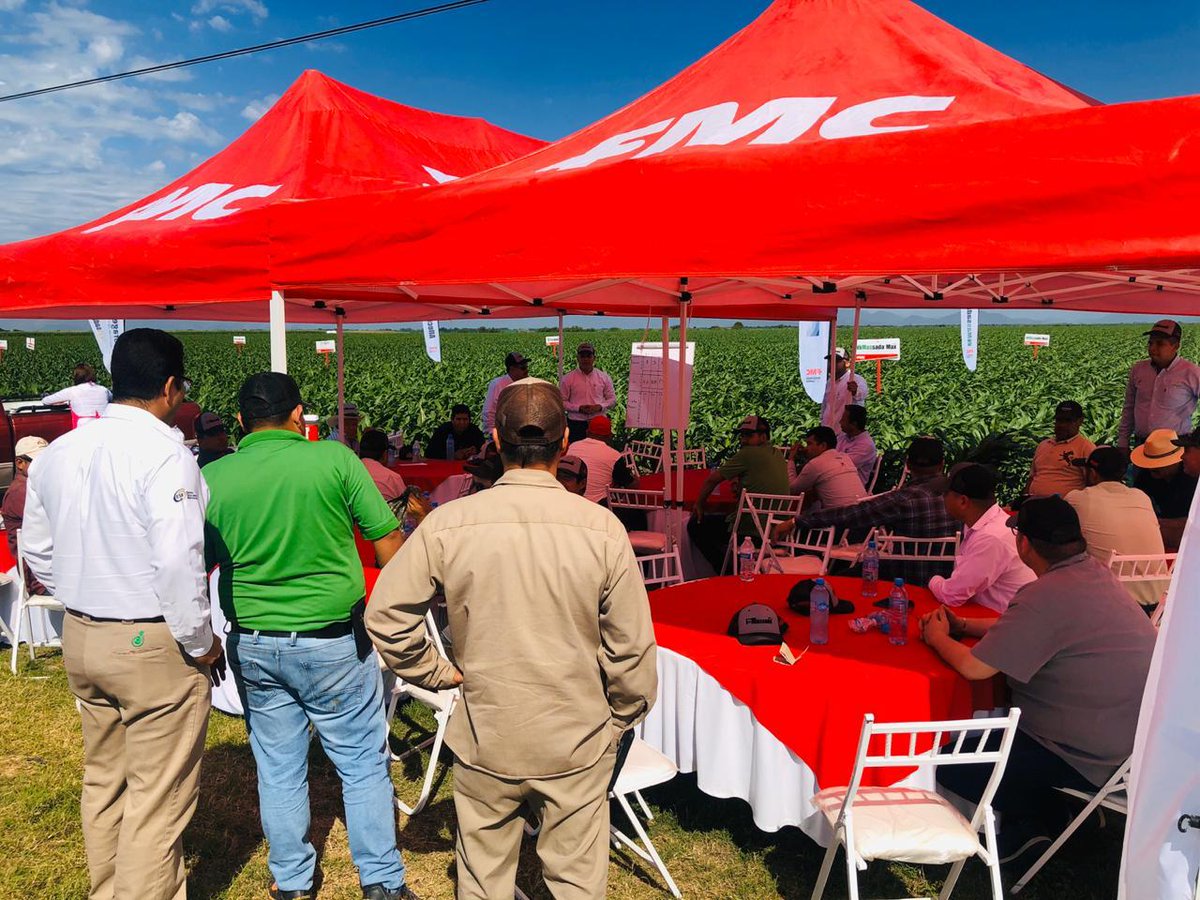 agroquimicaFMC's tweet photo. El día de ayer tuvimos un recorrido en campo🌱 con técnicos y agricultores🤠 del sur de Sinaloa; donde mostramos resultados de nuestros productos como #Coragen, #Avaunt, #MassadaMax, #StymulusMax y #Soldier.😁👍 https://t.co/VM9VdWS6i5