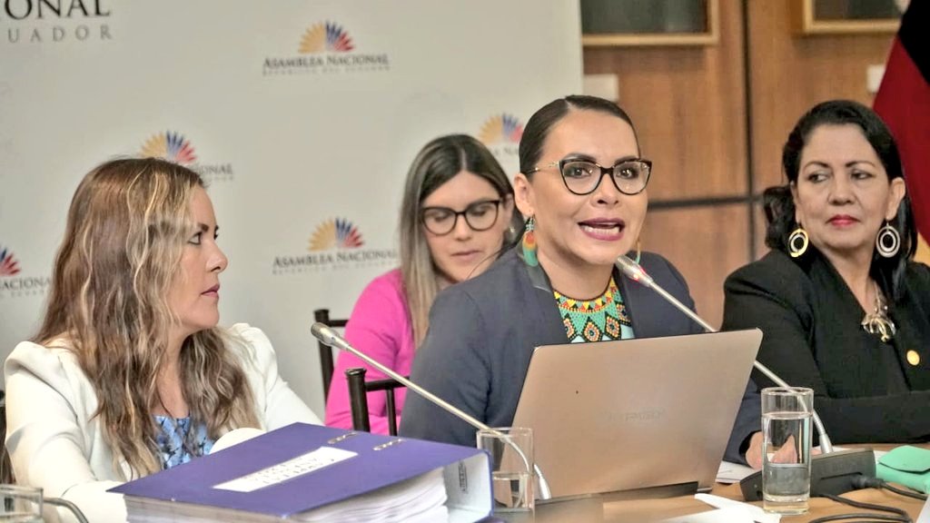 FiscalizacionAN's tweet photo. @DianaAtamaint se refiere al proceso electoral #2019Ec. En su intervención señala que ha recibido agresiones, al interno del @cnegobec, por su condición de mujer e indígena. Indica que en su #JUICIOPOLÍTICO los interpelantes han copiado el proceso seguido al @CPCCS https://t.co/e6WOG2cnnn