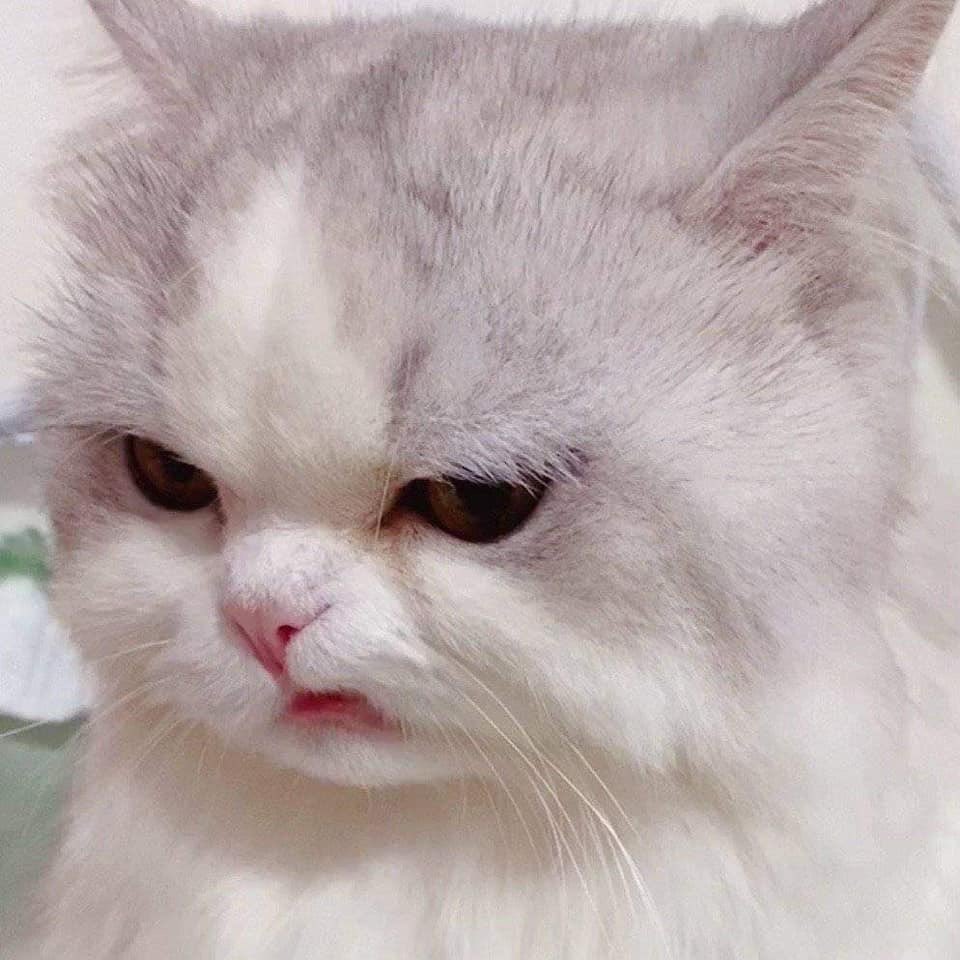 อย่ามาพูกมั่ยข้าวหูชั้งอีกนะ