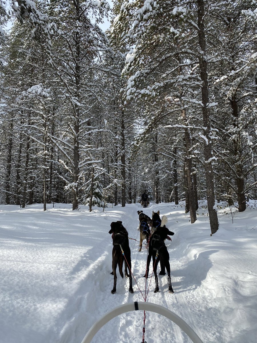 kstbradshaw's tweet photo. Amazing #PushTheFrontier experience in Canada with @PontoonSolution https://t.co/hIW4DSFe9q