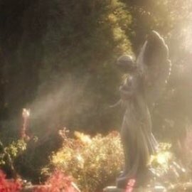 Faewitchling's tweet photo. #faery #garden #faeryhouse https://t.co/LUdI503n7f