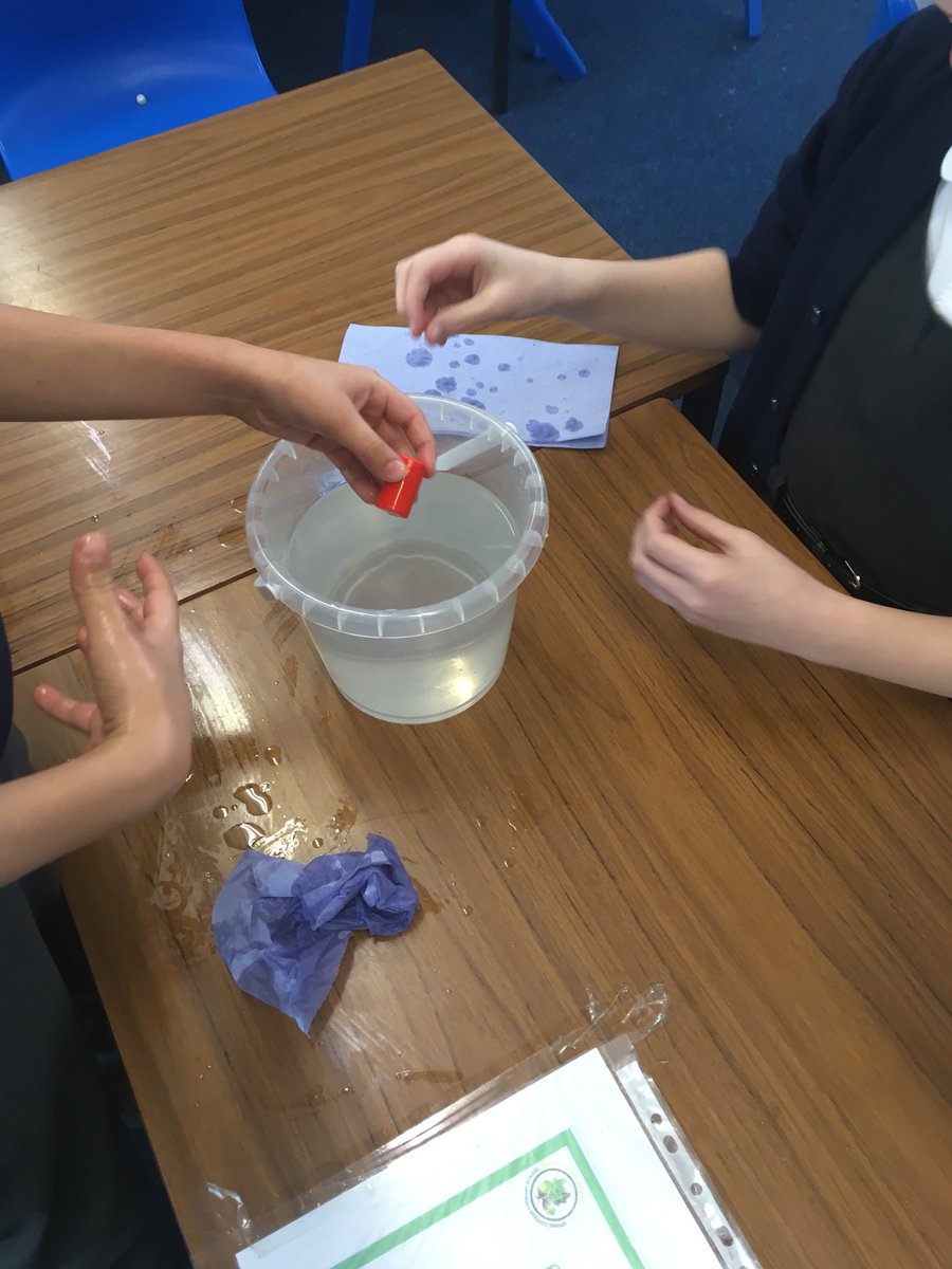 SpringCottagePS's tweet image. In science, #SpringCottage5T tested water resistance using a range of shapes to investigate the effects of water resistance #springcottagescience