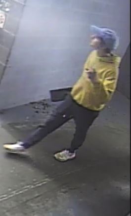 ChesterfieldPD's tweet photo. We are attempting to identify the 3 subjects in the attached photos. On 1/19/20, 3 unknown white males gained access to Arcade Amusement Plus in Chesterfield Mall and stole merchandise.  If you have any information, please contact the Chesterfield Police at 636-537-3000. https://t.co/8cXu3YYEot