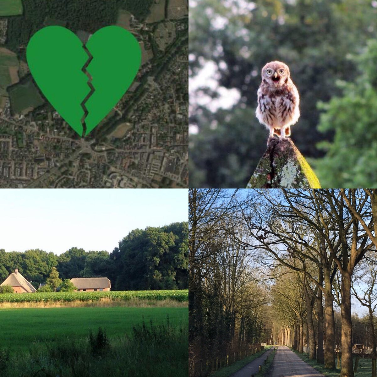 #groenehartvanputten    Spaar het groene 💚van Putten, het eeuwenoude cultuurhistorische landschap wil men vol gaan bouwen! Huizen zijn nodig!!! Bouwgrond Putten-Zuid is altijd de locatie geweest waar men wilde gaan bouwen! Daar is ruimte voor 1500 woningen.