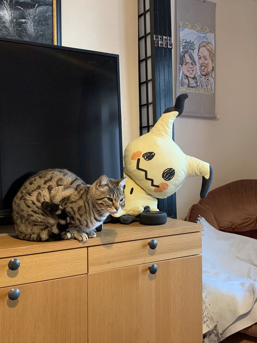 LiciousBeau's tweet photo. My friend Trixie cat has her own #Pokemon https://t.co/ecLIedENfw
