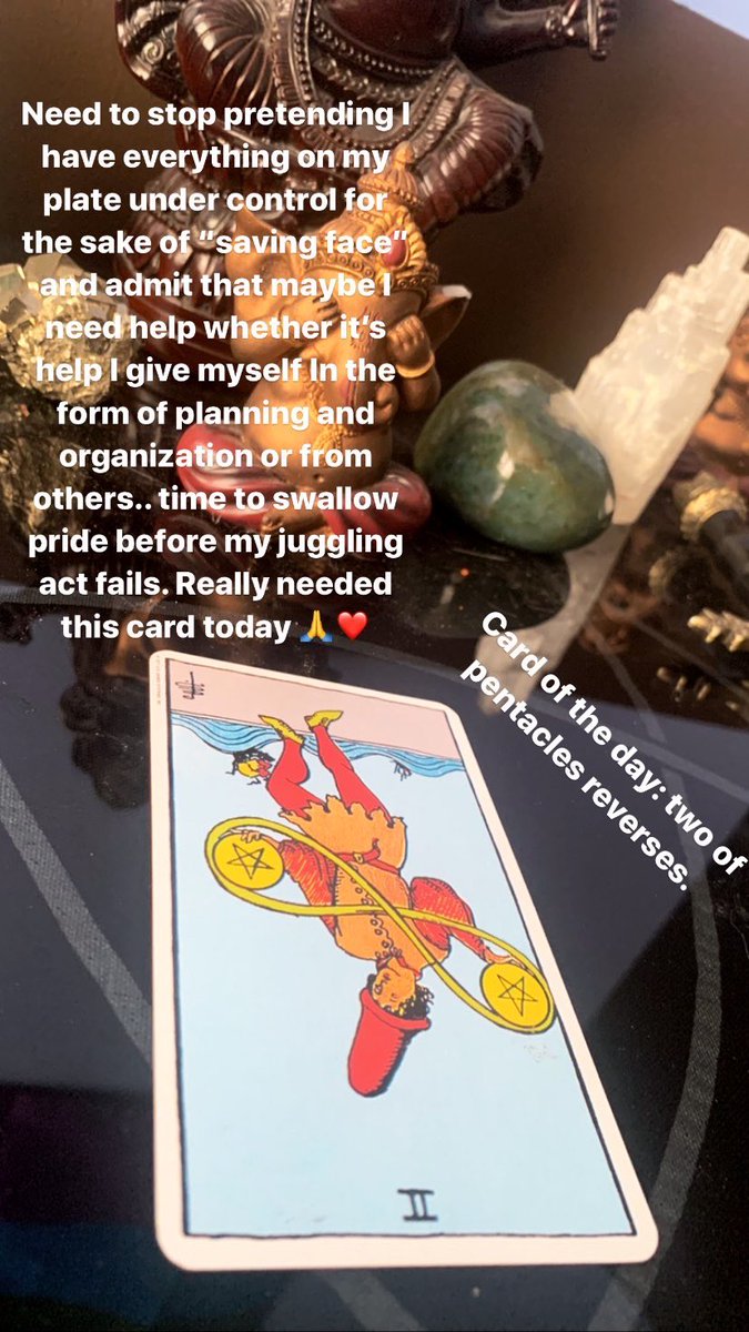 lightbourne00's tweet photo. #tarotcardoftheday ft. #interruptingcat lol https://t.co/kf7cHFZjc8