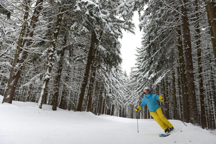 Cabin Fever is back! 🎟️
Stop by the shop to grab an 8 hour lift ticket to <a href="/holidayvalley/">Holiday Valley</a> for only $25.99 cash. The tickets are redeemable for Thursday February 6th or Tuesday March 17th, the perfect excuse to play hooky for a day 😉
#skiseason #snowseason #playhooky