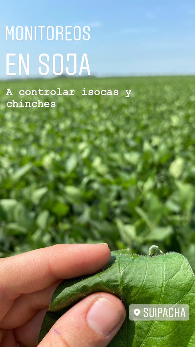 El campo Argentino no se toma vacaciones #AcaSeguimos <a href="/AteneosCARBAP/">Ateneos CARBAP</a>