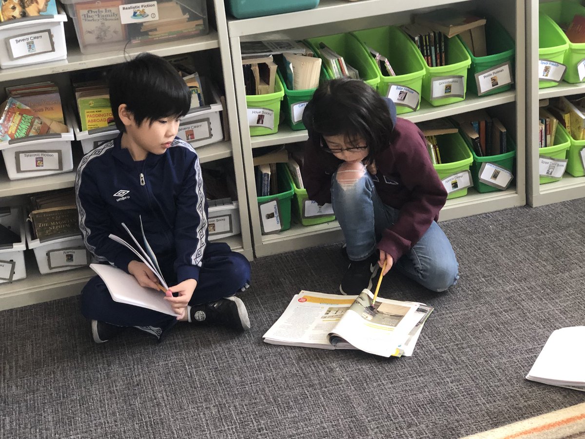 shellie avery-franz tweet media