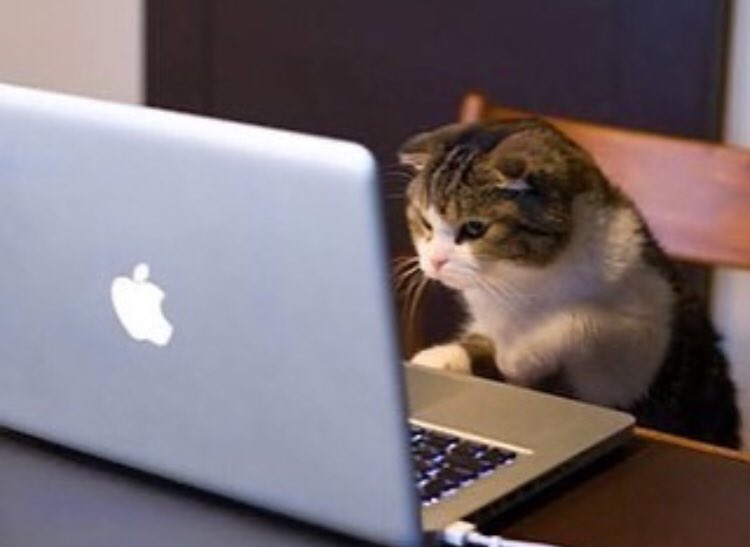 Deprem oldu, anlık böyleyiz. #deprem