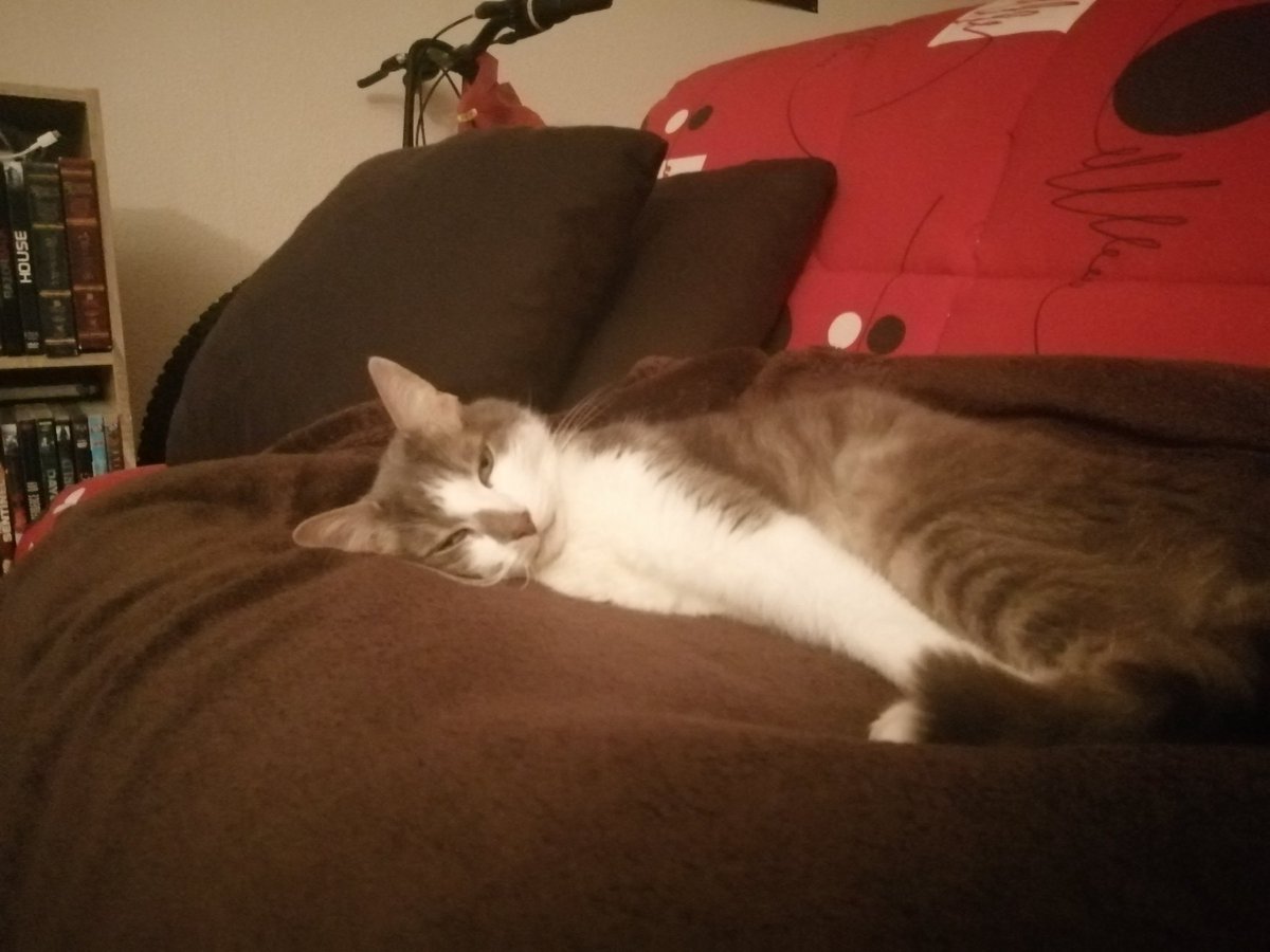 Katangou tweet media