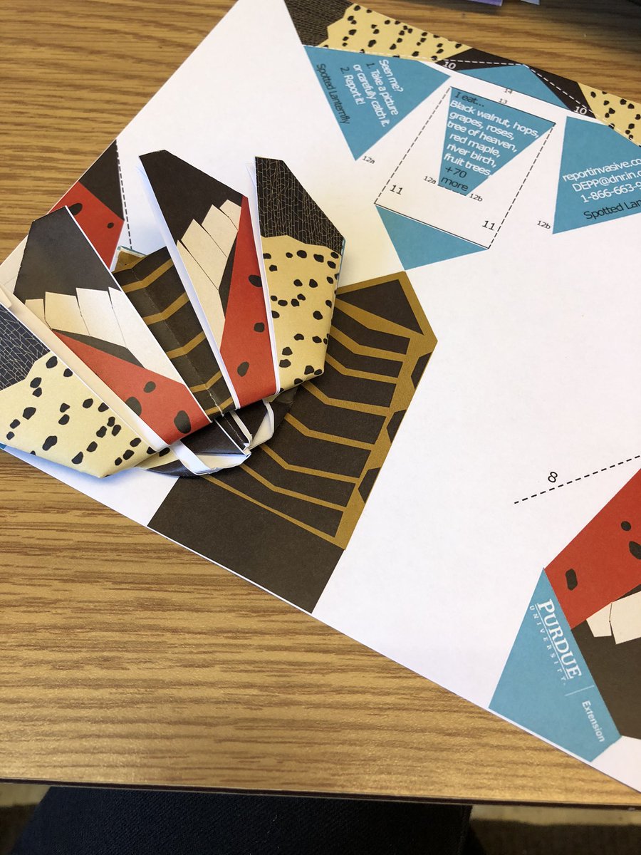 Folded spotted lanternfly origami sitting on top of a spotted lanternfly origami pattern. Both are on a brown desk.