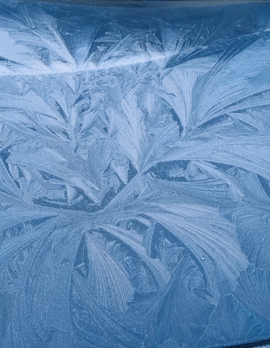 FromMeToYou tweet media