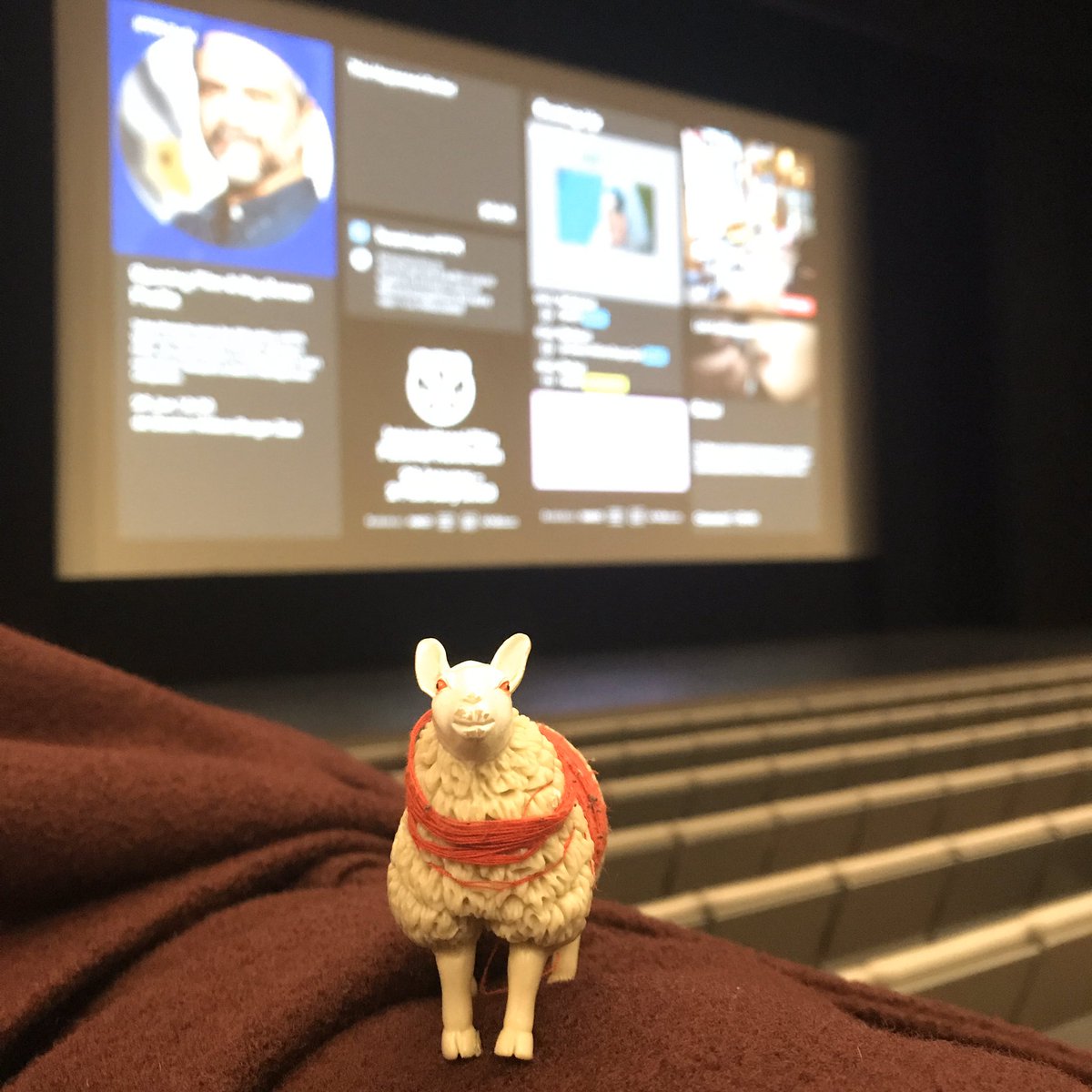 Schaapje is ready #IFFR2020 #iffr