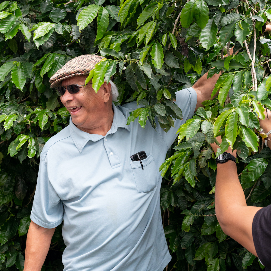 NTSDMin's tweet photo. In addition to online learning, our Spiritual Formation and Discipleship DMin track includes gatherings in Ireland, Kansas City, and San Diego. Our Innovative Leadership track gathers in Costa Rica, Kansas City, and Los Angeles. Apply now for Fall 2020! https://t.co/MDAQfwuUjw https://t.co/drsbQs3L5C
