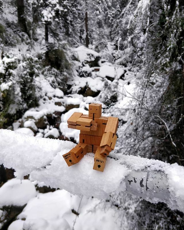 NatesanSiv's tweet photo. Out in the woods.
@cubebotofficial #cubebot #cubebots #cubebotadventures #cubebotofficial #cubebotindia
#kedarkanthatrek #hiking #trek #mountains #nature
@indiahikes @natgeo @natgeotravellerindia #snow #winter #himalayas #mountainlife #sankri #kedarka… https://t.co/CIY1GuXGuA https://t.co/ST8yAabzm6