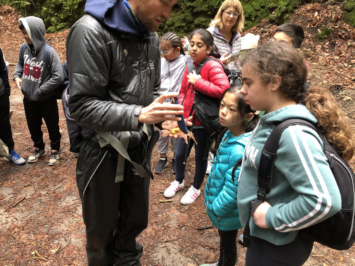 viner_jayne's tweet photo. The wonders of a banana slug https://t.co/7cP1mClqbo