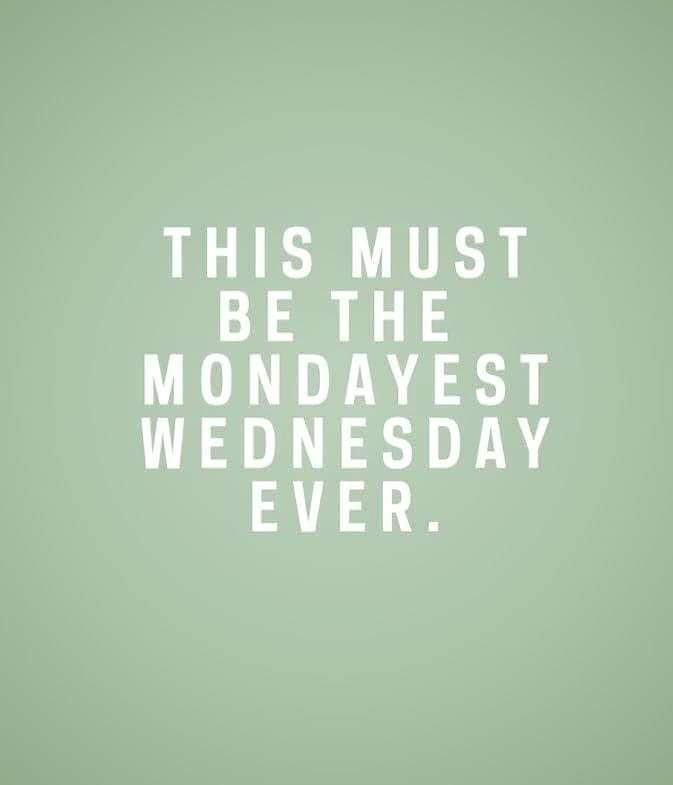 iamladyjaecelyn's tweet photo. I don't know about you, but today feels like a Monday...
This
Must
Be
#Mondayest
Wednesday
Ever https://t.co/XQ2WtvotVT