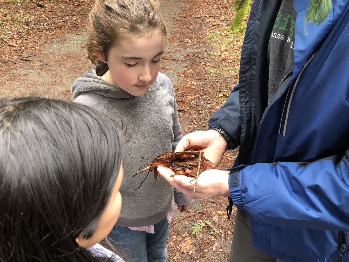 viner_jayne's tweet photo. Hawk finds a salamander https://t.co/IKbiUKLPu5
