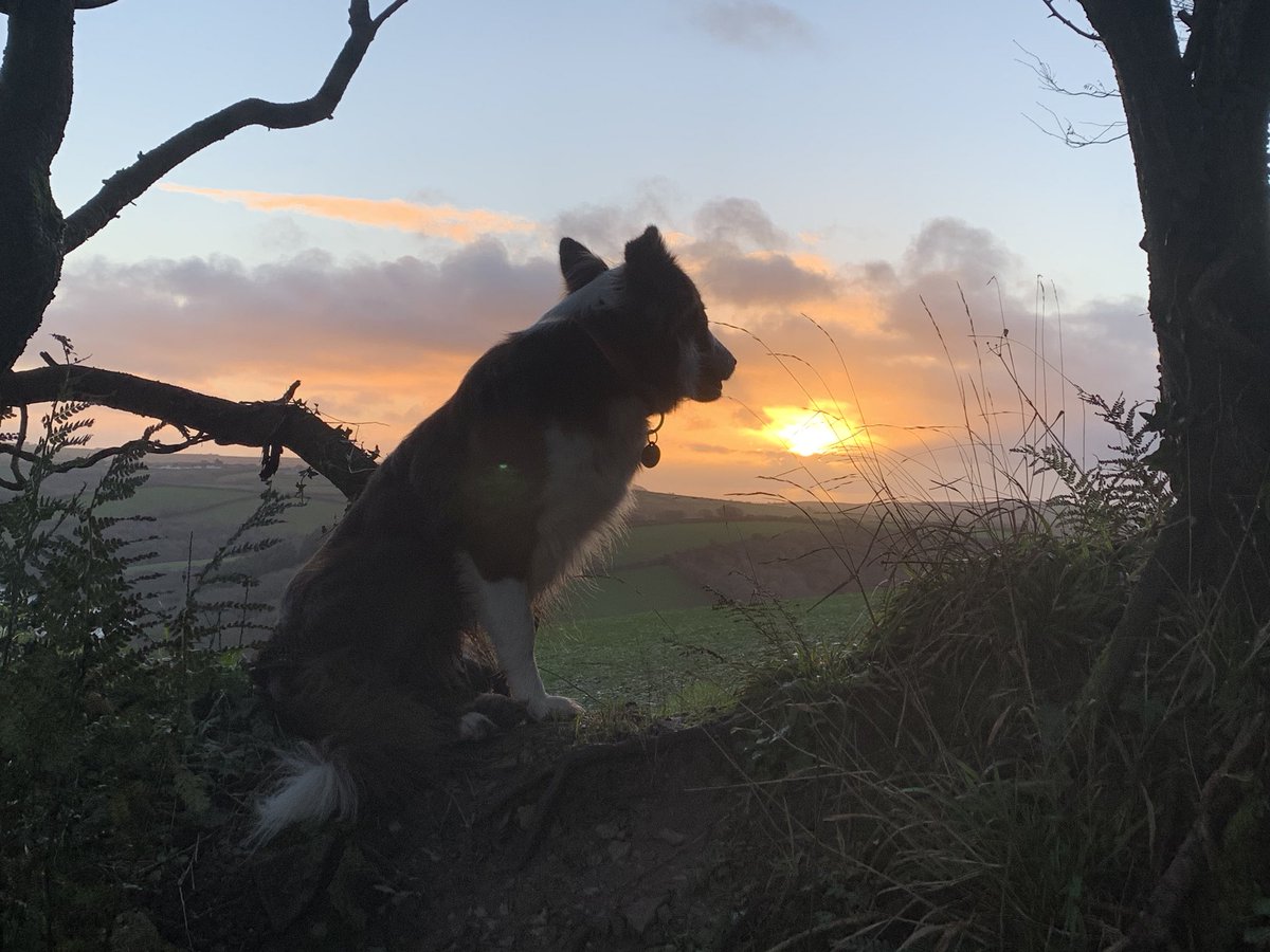 Encounter Cornwall (@kayakcornwall) on Twitter photo Dark winter mornings mean that itâs easy to be up for the sunrise. Particularly when youâve got two dogs with cabin fever. <a href="/EnjoyFowey/">Enjoy! Fowey</a> <a href="/ILoveCornwallUK/">Visit Cornwall</a> <a href="/NTSouthWest/">National Trust South West</a> <a href="/LooeLove/">Looe Visitor Information Centre</a> <a href="/cornwall4dogs/">Dog Friendly Cornwall</a> Dark winter mornings mean that itâs easy to be up for the sunrise. Particularly when youâve got two dogs with cabin fever. <a href="/EnjoyFowey/">Enjoy! Fowey</a> <a href="/ILoveCornwallUK/">Visit Cornwall</a> <a href="/NTSouthWest/">National Trust South West</a> <a href="/LooeLove/">Looe Visitor Information Centre</a> <a href="/cornwall4dogs/">Dog Friendly Cornwall</a>