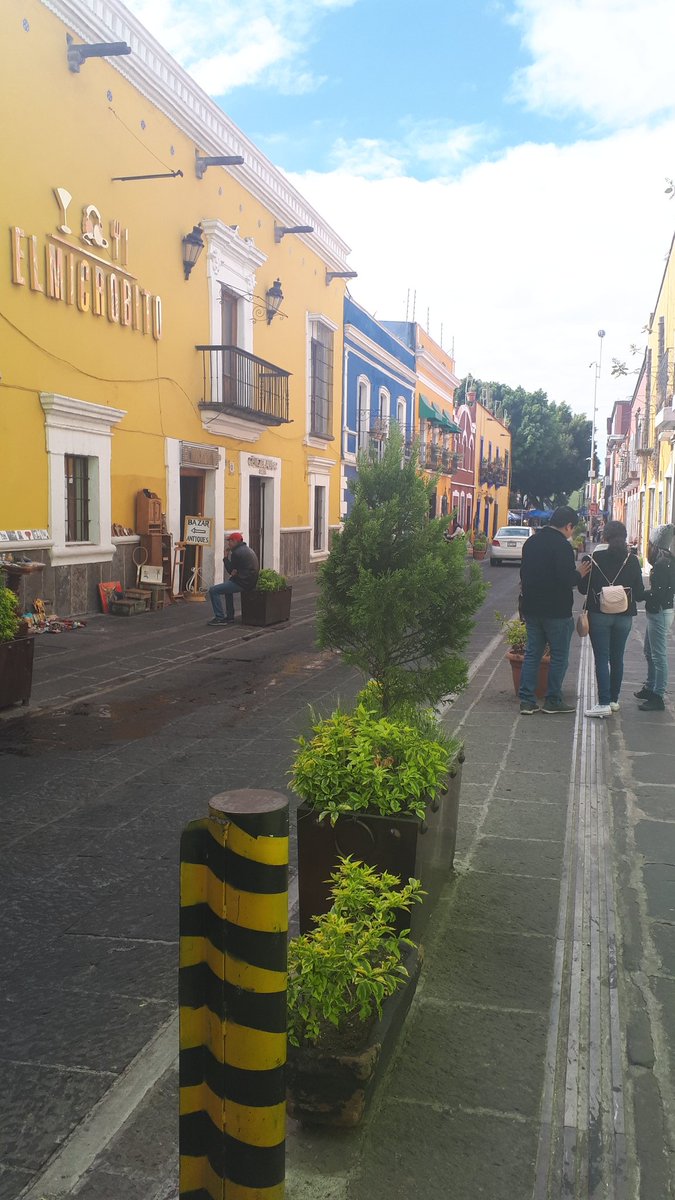 jaimeekresin's tweet photo. Week 2: Puebla ✔ I can't believe I'm already half way through my exchange! I forgot to take photos I was that busy this week, but here's the dorm doggo 😍 #QUTGlobal #TecdeMonterrey #iWinterMX #studyabroad #Mexico https://t.co/420icu3Lnr