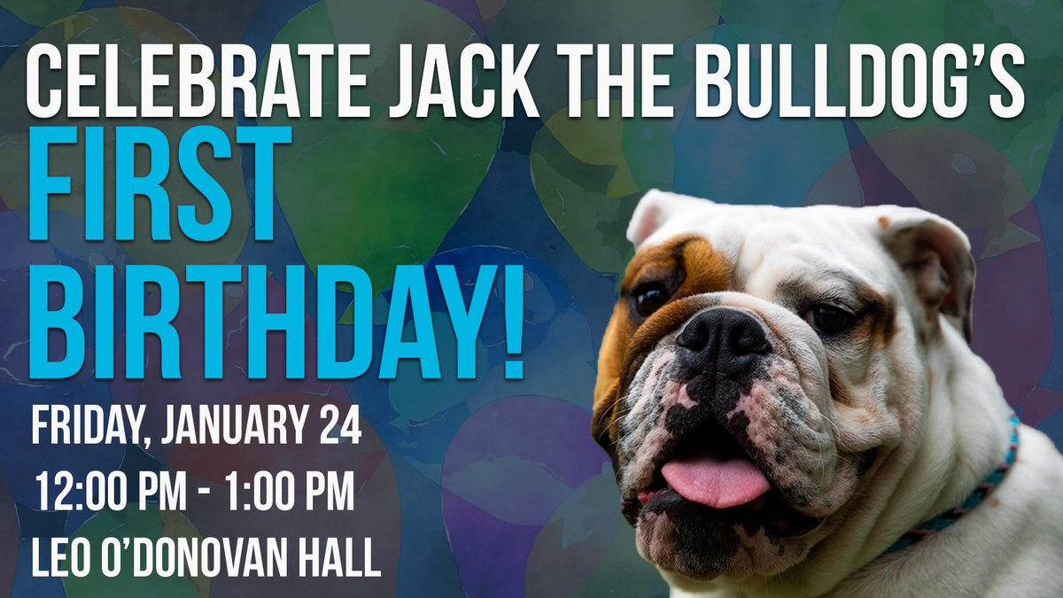 Jack The Bulldog Georgetownjack Twitter
