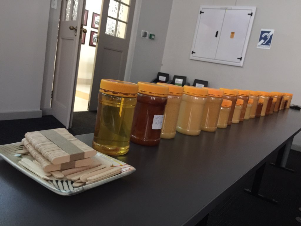 zoologymolly's tweet photo. In today's seminar we could take the study samples home!!! Free #honey from the #fynbos of #SouthAfrica (by Hurters Honey). PhD defence by Nanike Esterhuizen on the botanical origin, physicochemical properties and antibacterial activity of selected West Coast honeys. #phdlife https://t.co/hWCGwXPIHb