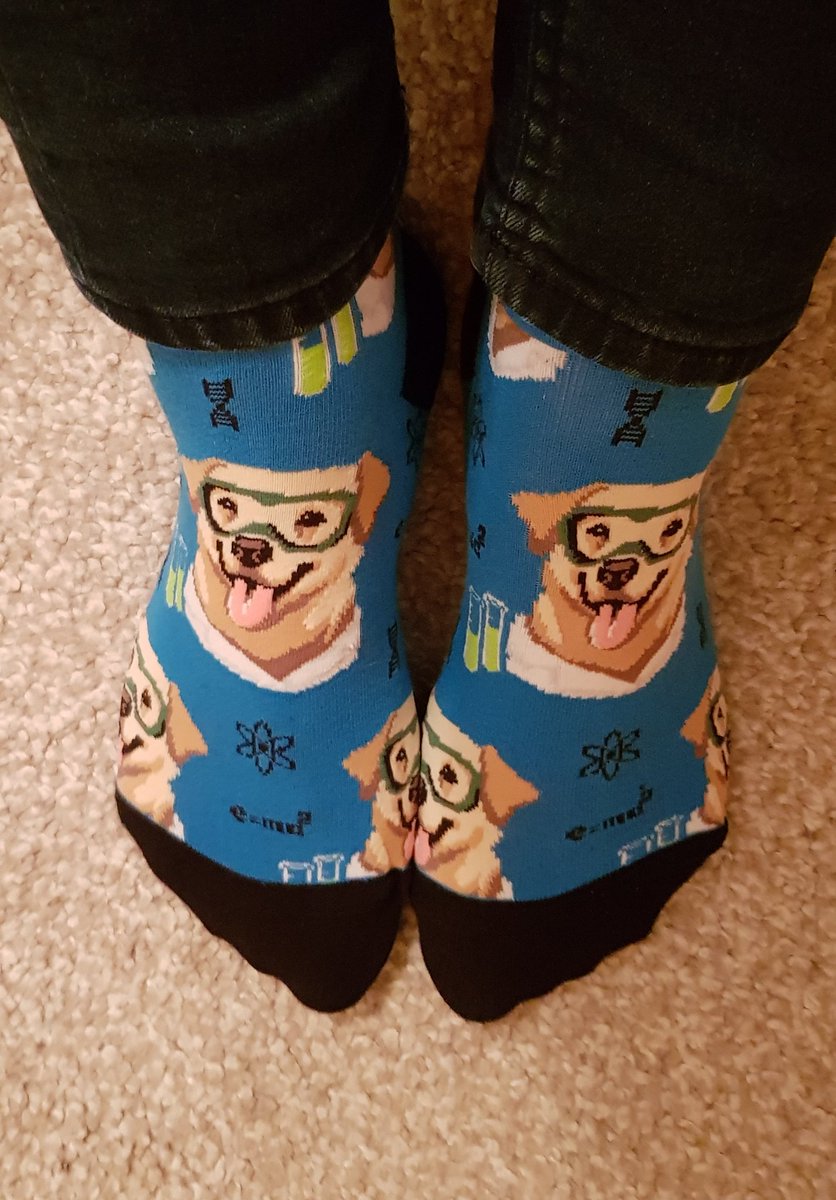 sara_marine's tweet image. Love my gift from @AlisonIGraham. The #ScienceDog reminds me of @sampson_dog 😍 #ServiceDog #Science