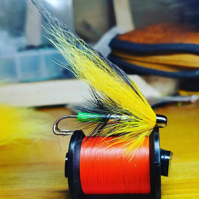 MFlycraft's tweet photo. Wee temple pup for my local river. Counting the days..... #salmonflies #salmonfishingscotland #salmonflyfishing #thetugisthedrug #flytyingjunkie #flytyingart #steelheadflies #flytying #flyfishingscotland #flyfishing #flybox #flyboxporn #flybench #rodbuil… https://t.co/eNjkB3adRO https://t.co/5pK5NILpJH