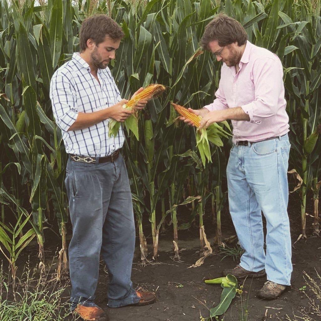 agrocapital_uy's tweet photo. Estuvimos recorriendo los cultivos de #BonoAgricola junto con @meatsoriano . Ya jugado gran parte del partido en el Maíz de primera, nos acercamos al PC en la soja. Que sigan las lluvias 🌦 https://t.co/IRVS8P91m4