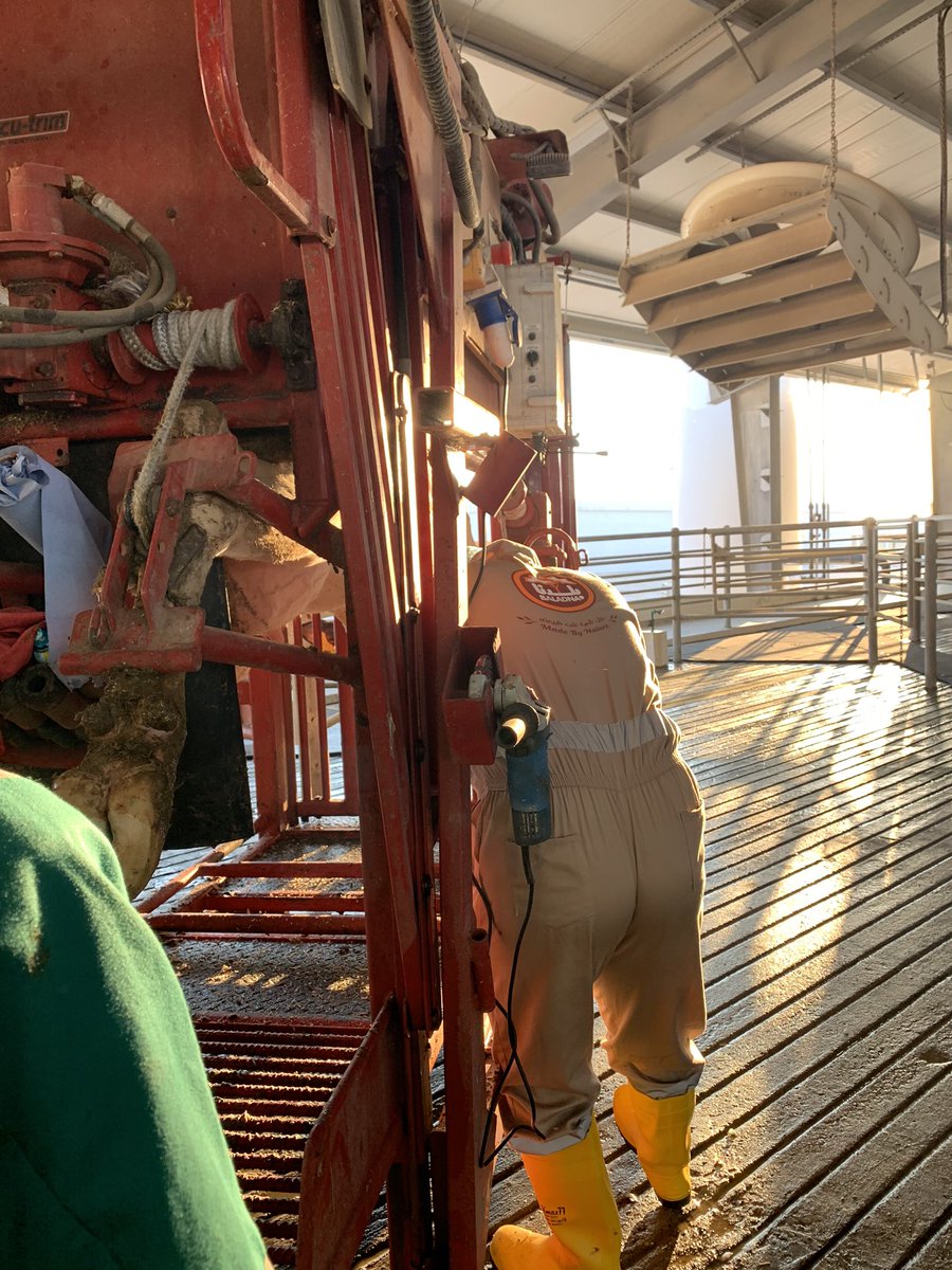 Davidrowe_1's tweet image. I visited a farm in Qatar last week to deliver on farm training.  Proud to be  Representing the @SaveCowsNetwork teaching the #Dairyland hoof care course. A great experience working with some great guys using #ComfortChute #SaveCowsNetwork