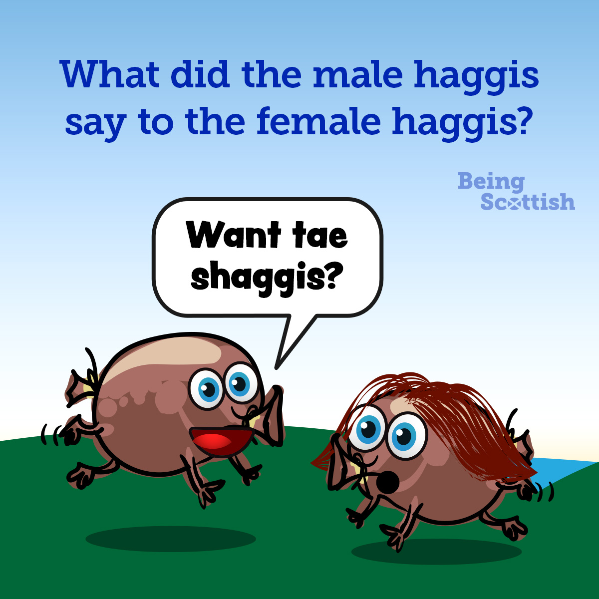 BeingScots's tweet photo. Wild haggii have very straightforward mating rituals... https://t.co/gAAtFrDWvq
