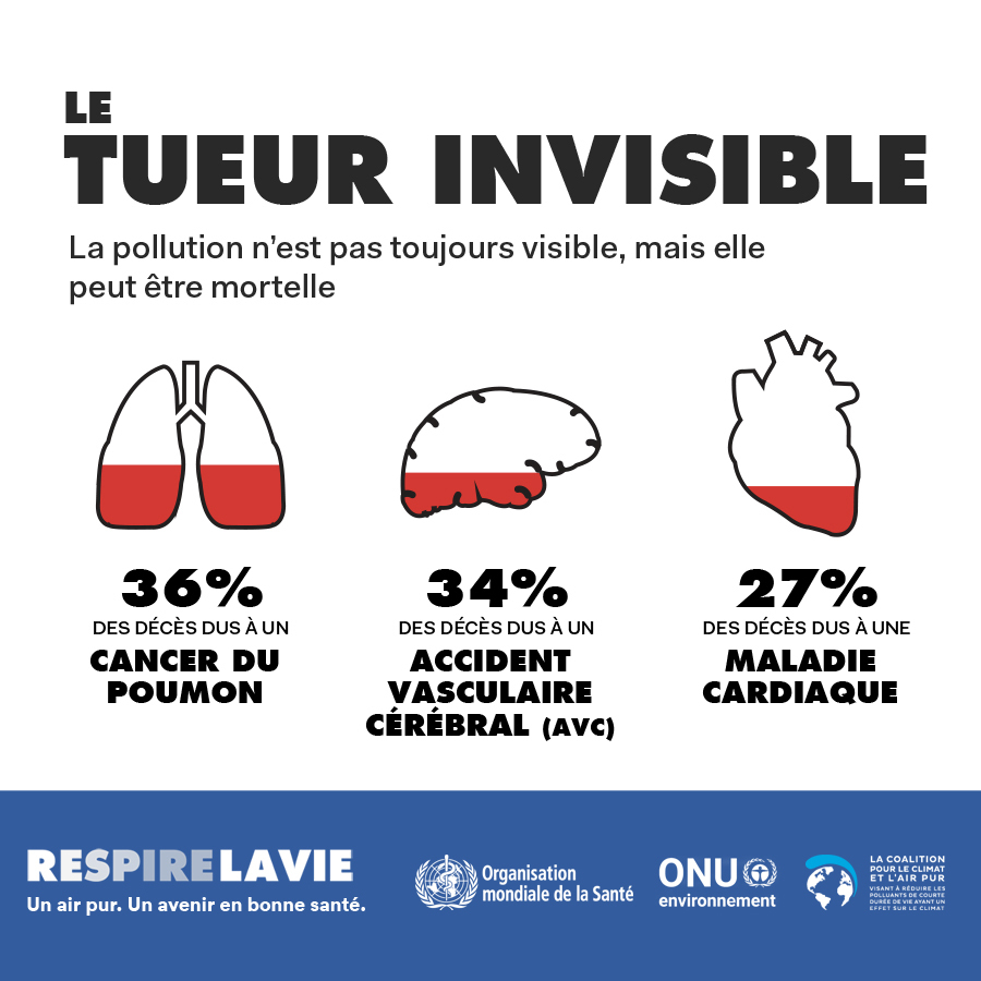 Vincent13004's tweet image. 📢
Marseille est la ville la plus polluée de France Vite ! une équipe qui place l'écologie au cœur de son projet !! #LEspoirArrive avec @MicheleRubirola
☀
🌻
#PrintempsMarseillais @PrintempsMRS
 #Marseille2020 #OM #MunicipalesMarseille #Marseille