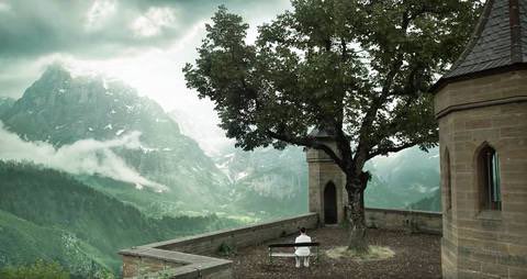 10. The Cure for Wellness (2017)