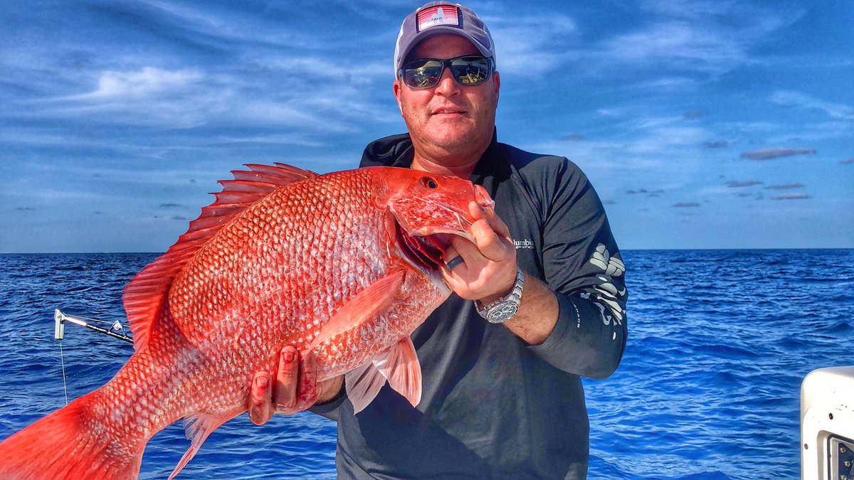 Nice #redsnapper #catchandrelease #hydrophilik #NearH2O #saltlife #saltwaterfishing #fishing #boating #snapper <a href="/flsportfishing/">Florida Sport Fishing</a> <a href="/Outdoors360/">Outdoors 360</a> <a href="/RealSaltLife/">Salt Life</a> <a href="/fishingworld/">Fishing World</a> @Fishingherald <a href="/MustadFishing/">Mustad Fishing</a> @FishShimanoNA