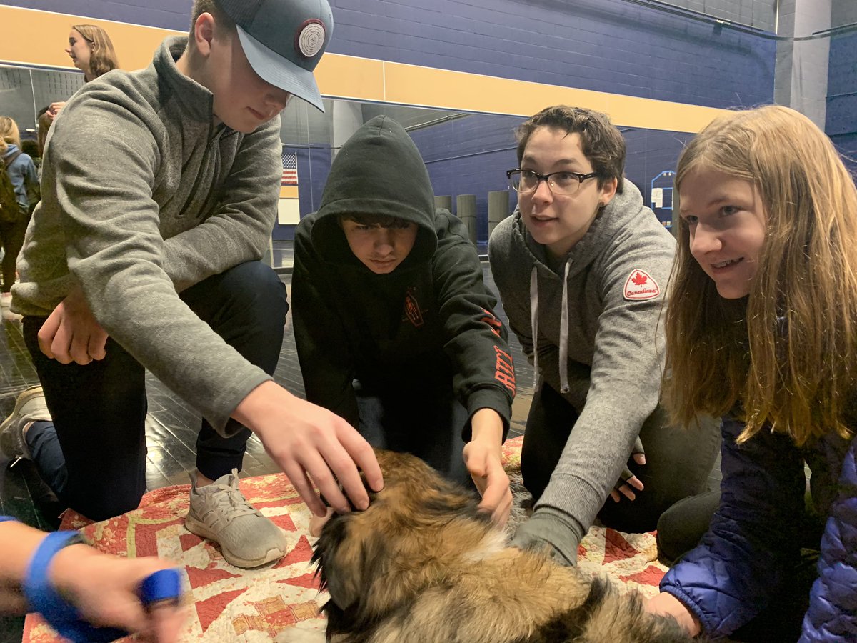 TonkaIB's tweet photo. You can find me at the Human Society adopting another dog ❤️ 🐕 Thank you North Star Therapy Animals for a wonderful start to the day for students!! Tomorrow we have bunnies in the Black Box!  #mhsmindfulness @TonkaPrincipal https://t.co/AGtI8A5Rgh