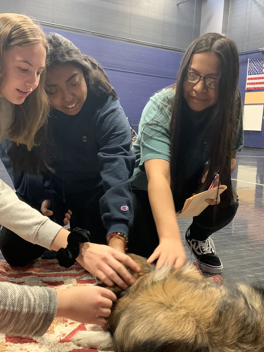 TonkaIB's tweet photo. You can find me at the Human Society adopting another dog ❤️ 🐕 Thank you North Star Therapy Animals for a wonderful start to the day for students!! Tomorrow we have bunnies in the Black Box!  #mhsmindfulness @TonkaPrincipal https://t.co/AGtI8A5Rgh