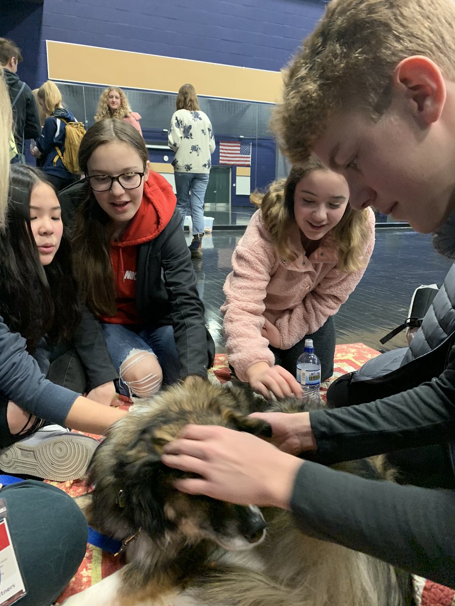 TonkaIB's tweet photo. You can find me at the Human Society adopting another dog ❤️ 🐕 Thank you North Star Therapy Animals for a wonderful start to the day for students!! Tomorrow we have bunnies in the Black Box!  #mhsmindfulness @TonkaPrincipal https://t.co/AGtI8A5Rgh